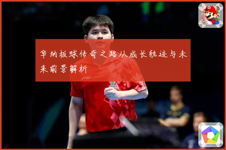 华纳板球传奇之路从成长轨迹与未来前景解析
