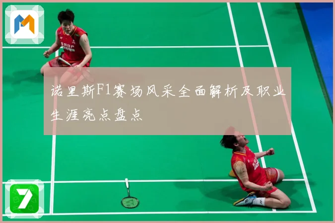 诺里斯F1赛场风采全面解析及职业生涯亮点盘点