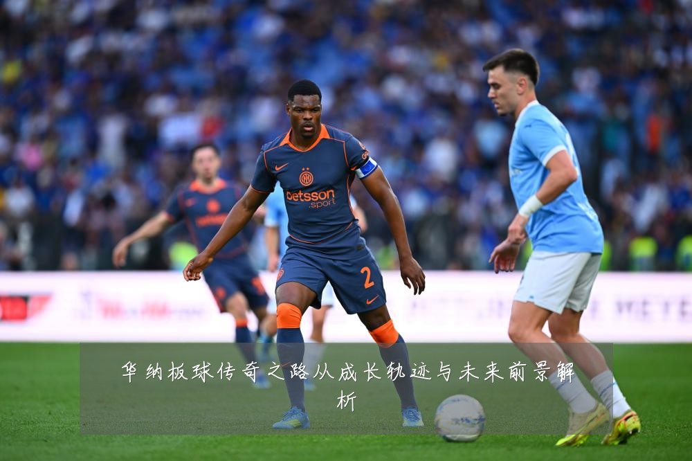 华纳板球传奇之路从成长轨迹与未来前景解析