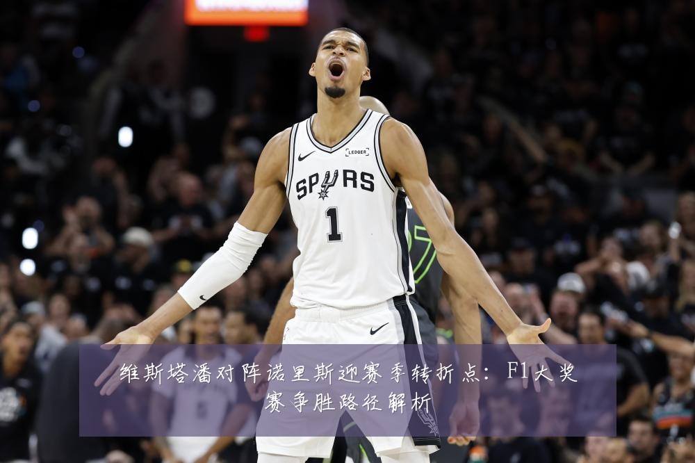 维斯塔潘对阵诺里斯迎赛季转折点：F1大奖赛争胜路径解析